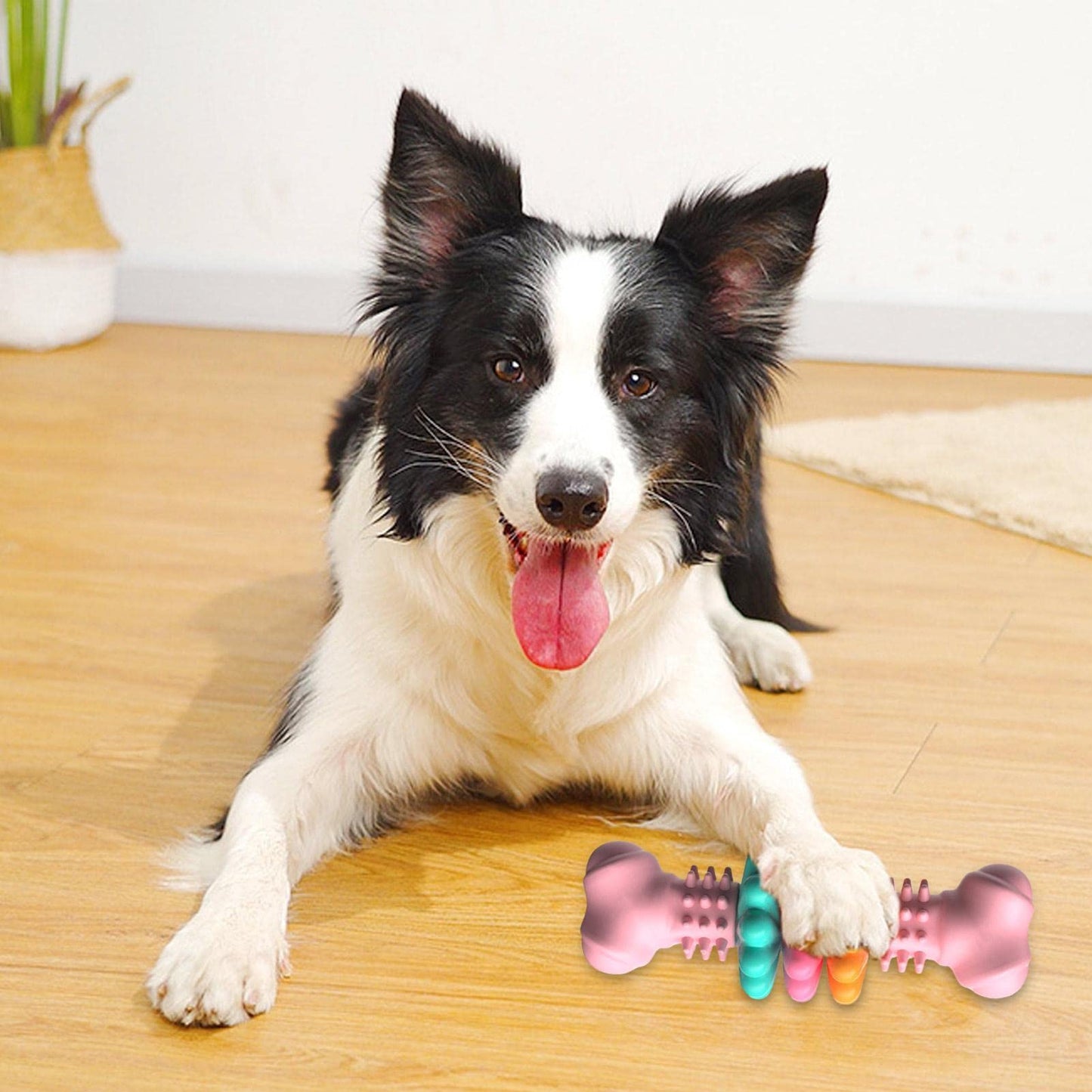 Rubber Bone Dog Chew Toy