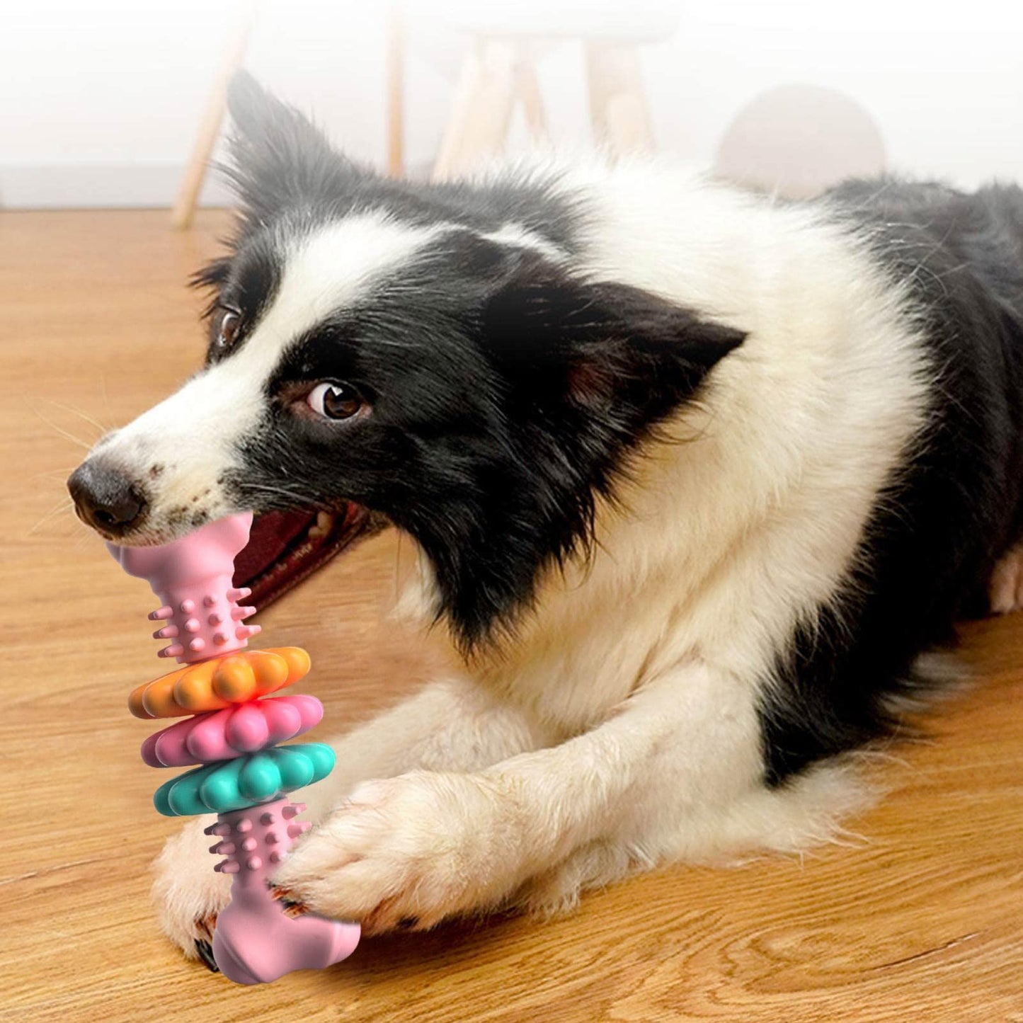 Rubber Bone Dog Chew Toy